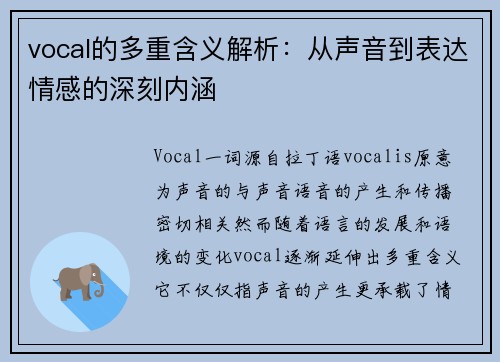 vocal的多重含义解析：从声音到表达情感的深刻内涵